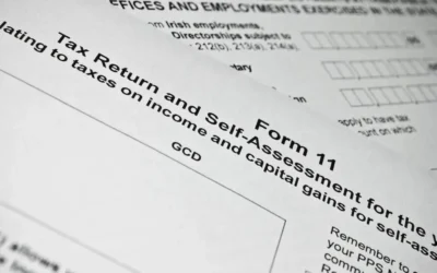 Your Plain-English Form 11 Tax Return Guide