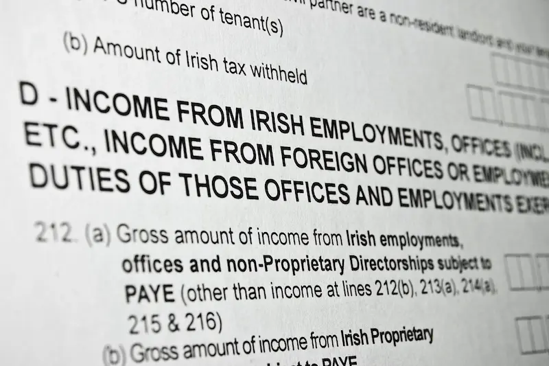 Your Plain-English Form 11 Tax Return Guide - Tax Return Pro (3)